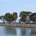 PlasticFantatic_0038 (May 18, 2014)